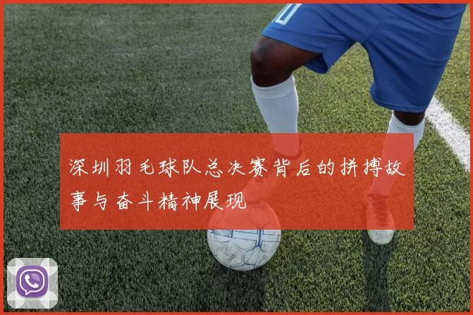 深圳羽毛球队总决赛背后的拼搏故事与奋斗精神展现