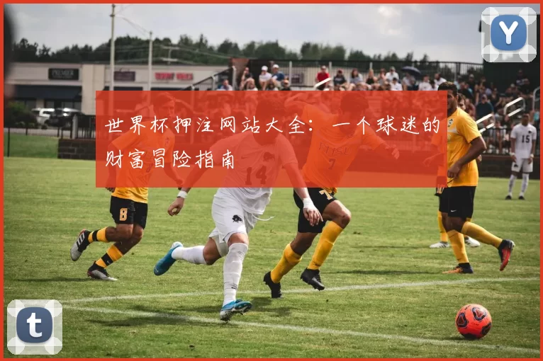 世界杯押注网站大全：一个球迷的财富冒险指南