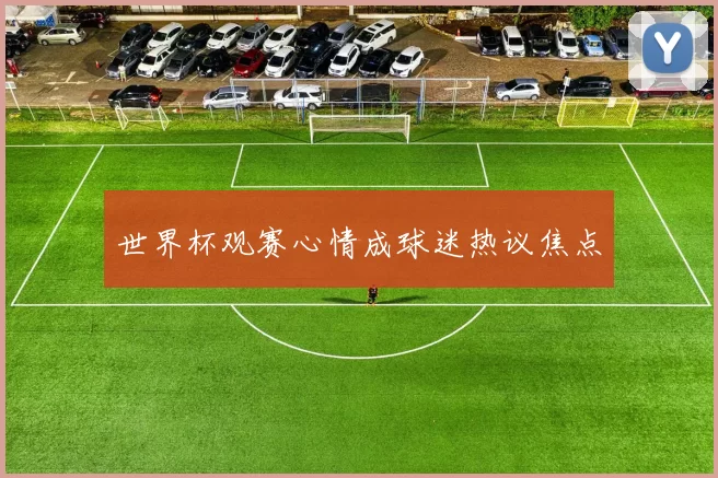 世界杯观赛心情成球迷热议焦点