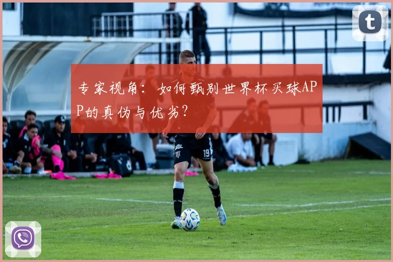 专家视角:如何甄别世界杯买球APP的真伪与优劣?