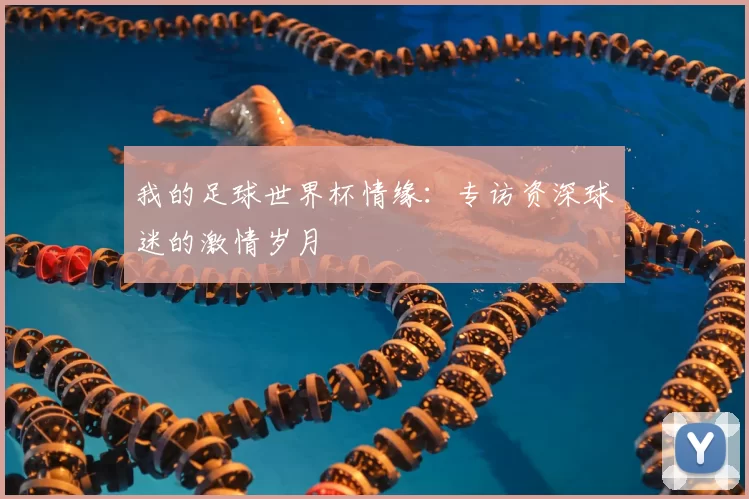我的足球世界杯情缘：专访资深球迷的激情岁月
