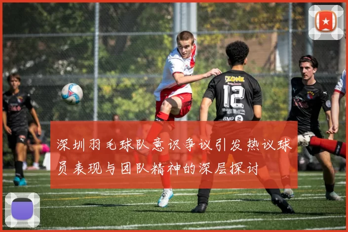 深圳羽毛球队意识争议引发热议球员表现与团队精神的深层探讨