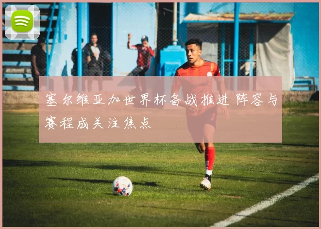 塞尔维亚加世界杯备战推进 阵容与赛程成关注焦点
