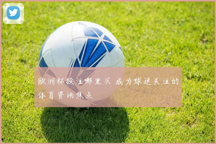 欧洲杯投注哪里买 成为球迷关注的体育资讯焦点
