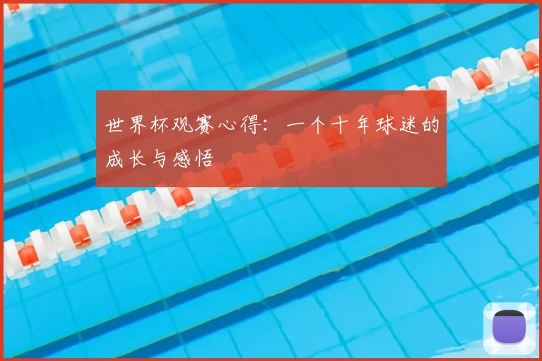 世界杯观赛心得:一个十年球迷的成长与感悟