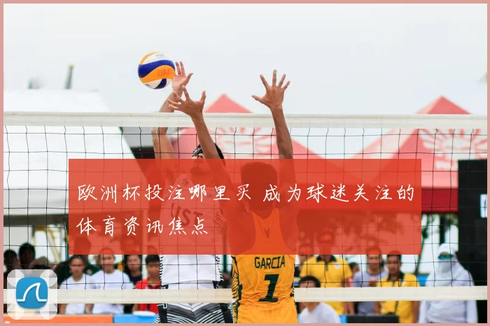 欧洲杯投注哪里买 成为球迷关注的体育资讯焦点