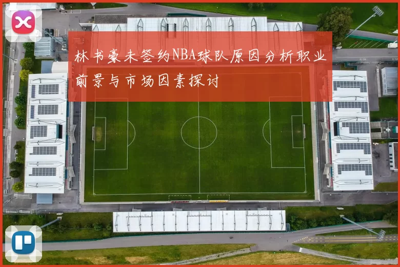林书豪未签约NBA球队原因分析职业前景与市场因素探讨