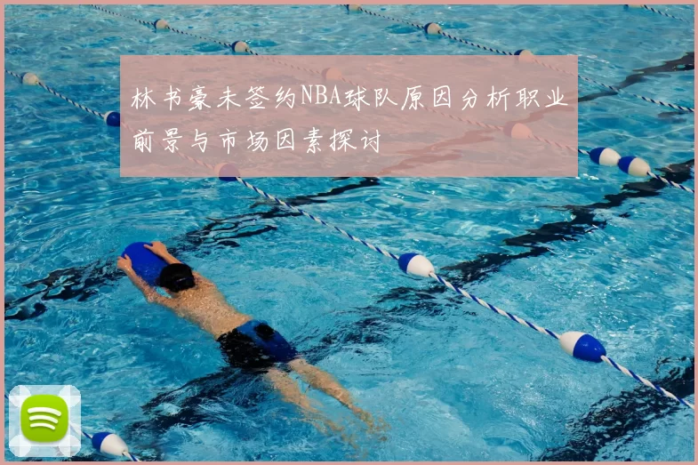 林书豪未签约NBA球队原因分析职业前景与市场因素探讨