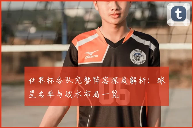 世界杯各队完整阵容深度解析:球星名单与战术布局一览