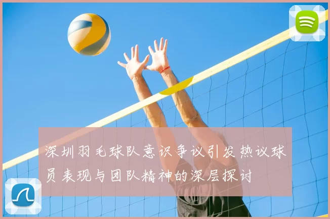 深圳羽毛球队意识争议引发热议球员表现与团队精神的深层探讨