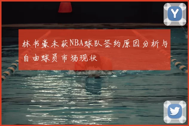 林书豪未获NBA球队签约原因分析与自由球员市场现状